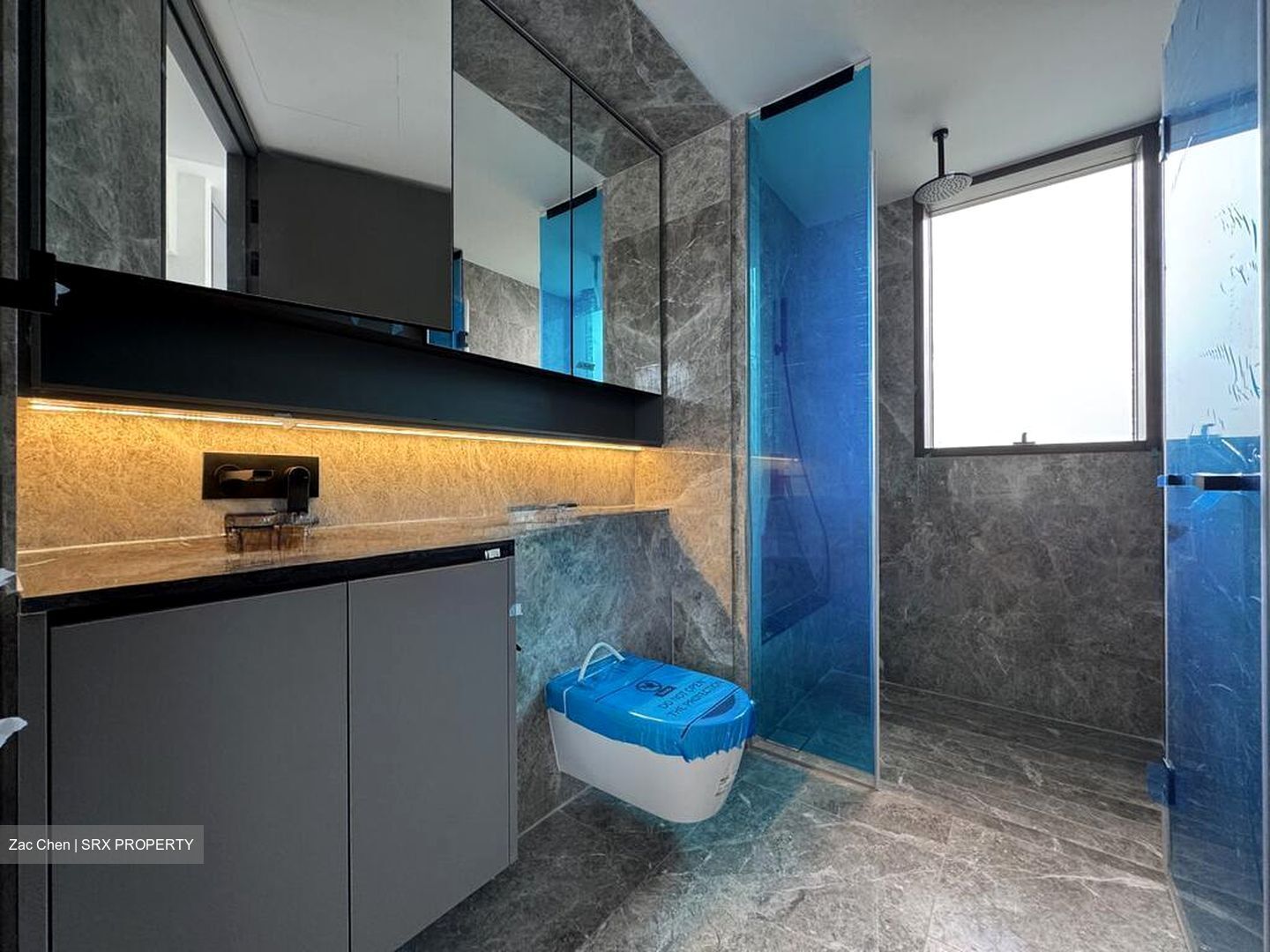 The Landmark (D3), Condominium #519144061